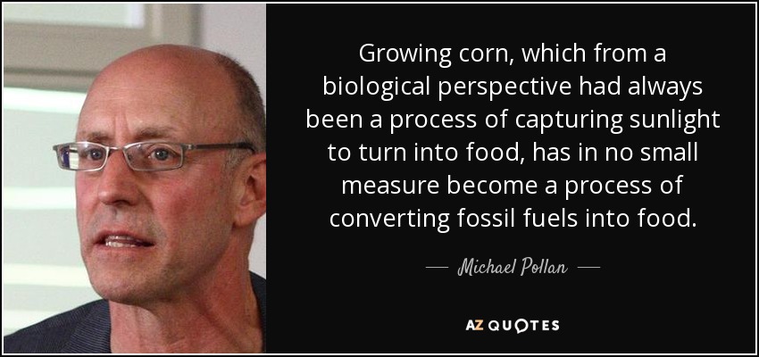 Growing corn, which from a biological perspective had always been a process of capturing sunlight to turn into food, has in no small measure become a process of converting fossil fuels into food. - Michael Pollan