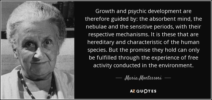 Growth and psychic development are therefore guided by: the absorbent mind, the nebulae and the sensitive periods, with their respective mechanisms. It is these that are hereditary and characteristic of the human species. But the promise they hold can only be fulfilled through the experience of free activity conducted in the environment. - Maria Montessori