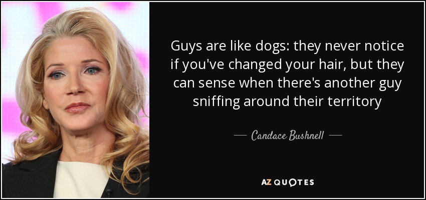 Guys are like dogs: they never notice if you've changed your hair, but they can sense when there's another guy sniffing around their territory - Candace Bushnell