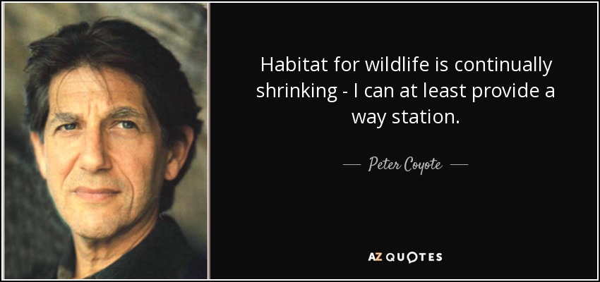 Habitat for wildlife is continually shrinking - I can at least provide a way station. - Peter Coyote