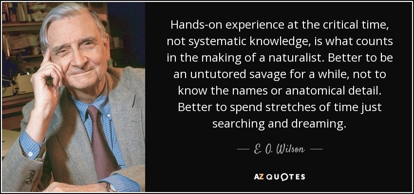 Hands-on experience at the critical time, not systematic knowledge, is what counts in the making of a naturalist. Better to be an untutored savage for a while, not to know the names or anatomical detail. Better to spend stretches of time just searching and dreaming. - E. O. Wilson