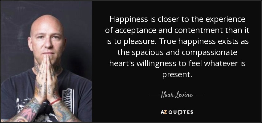 Happiness is closer to the experience of acceptance and contentment than it is to pleasure. True happiness exists as the spacious and compassionate heart's willingness to feel whatever is present. - Noah Levine
