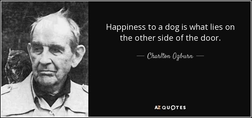 Happiness to a dog is what lies on the other side of the door. - Charlton Ogburn