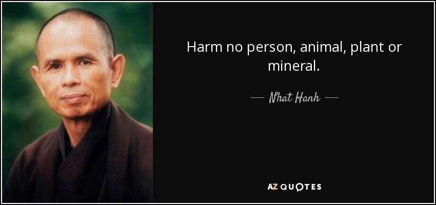 Harm no person, animal, plant or mineral. - Nhat Hanh