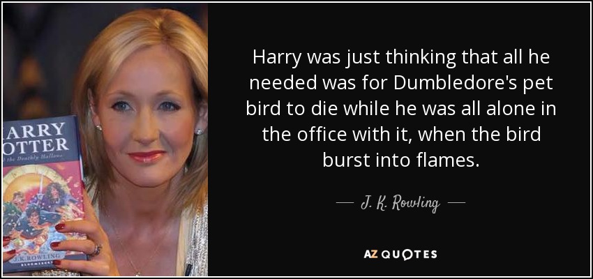 Harry was just thinking that all he needed was for Dumbledore's pet bird to die while he was all alone in the office with it, when the bird burst into flames. - J. K. Rowling