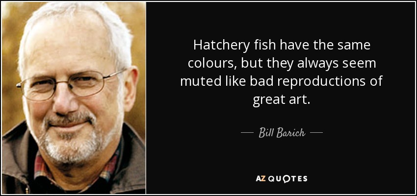 Hatchery fish have the same colours, but they always seem muted like bad reproductions of great art. - Bill Barich