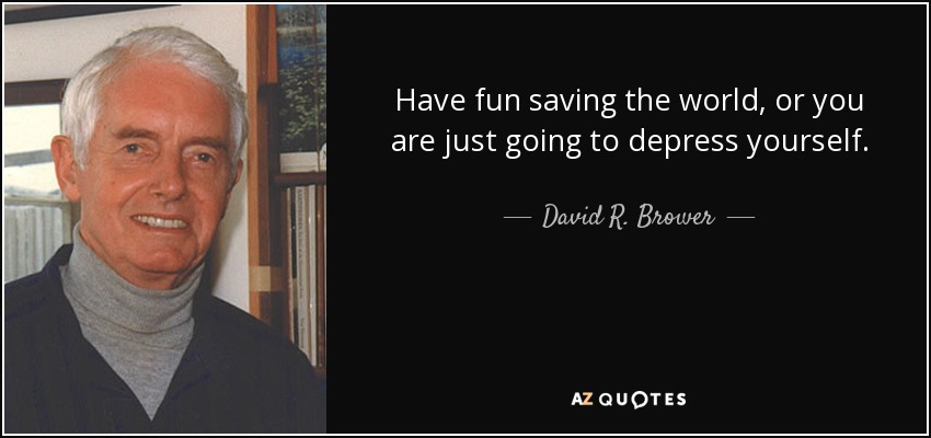 Have fun saving the world, or you are just going to depress yourself. - David R. Brower
