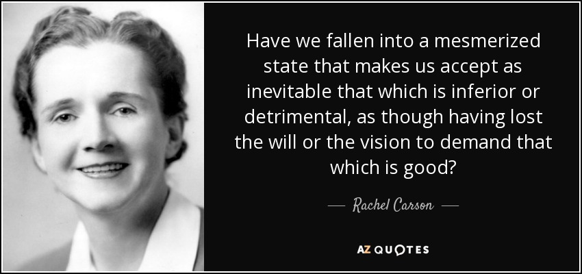 Have we fallen into a mesmerized state that makes us accept as inevitable that which is inferior or detrimental, as though having lost the will or the vision to demand that which is good? - Rachel Carson