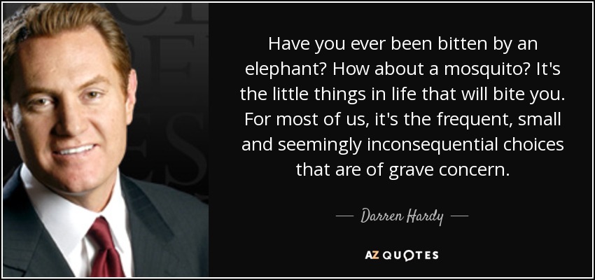 Have you ever been bitten by an elephant? How about a mosquito? It's the little things in life that will bite you. For most of us, it's the frequent, small and seemingly inconsequential choices that are of grave concern. - Darren Hardy