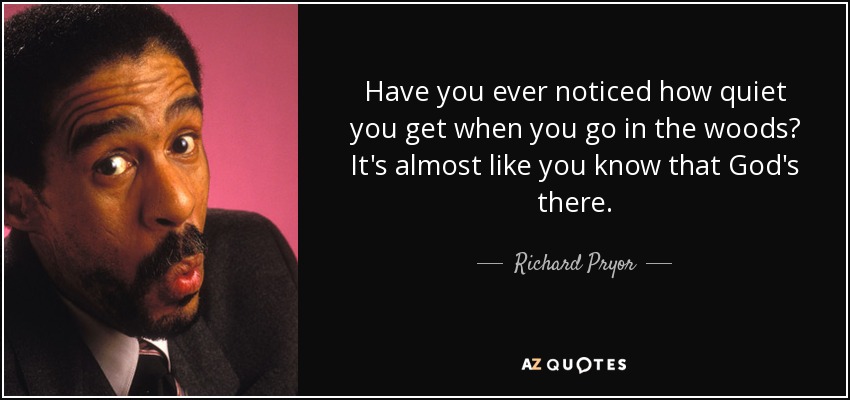 Have you ever noticed how quiet you get when you go in the woods? It's almost like you know that God's there. - Richard Pryor