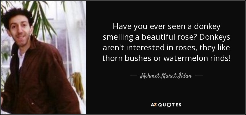 Have you ever seen a donkey smelling a beautiful rose? Donkeys aren't interested in roses, they like thorn bushes or watermelon rinds! - Mehmet Murat Ildan