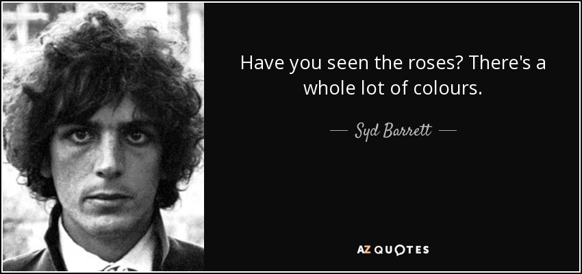 Have you seen the roses? There's a whole lot of colours. - Syd Barrett