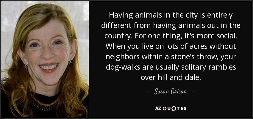 Having animals in the city is entirely different from having animals out in the country. For one thing, it's more social. When you live on lots of acres without neighbors within a stone's throw, your dog-walks are usually solitary rambles over hill and dale. - Susan Orlean