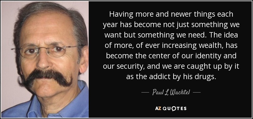 Having more and newer things each year has become not just something we want but something we need. The idea of more, of ever increasing wealth, has become the center of our identity and our security, and we are caught up by it as the addict by his drugs. - Paul L Wachtel