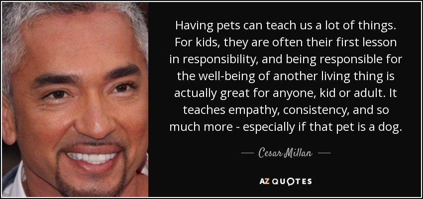 Having pets can teach us a lot of things. For kids, they are often their first lesson in responsibility, and being responsible for the well-being of another living thing is actually great for anyone, kid or adult. It teaches empathy, consistency, and so much more - especially if that pet is a dog. - Cesar Millan