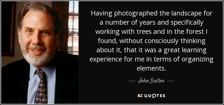 Having photographed the landscape for a number of years and specifically working with trees and in the forest I found, without consciously thinking about it, that it was a great learning experience for me in terms of organizing elements. - John Sexton