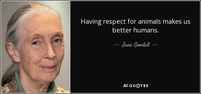 Having respect for animals makes us better humans. - Jane Goodall