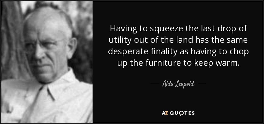 Having to squeeze the last drop of utility out of the land has the same desperate finality as having to chop up the furniture to keep warm. - Aldo Leopold