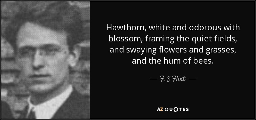 Hawthorn, white and odorous with blossom, framing the quiet fields, and swaying flowers and grasses, and the hum of bees. - F. S Flint