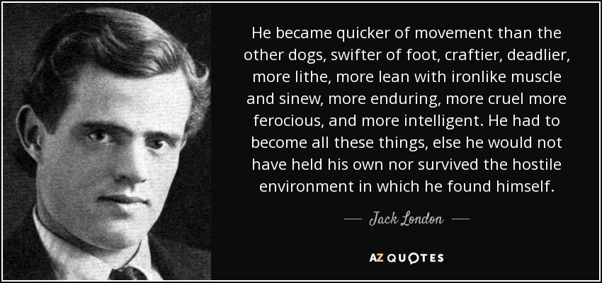 He became quicker of movement than the other dogs, swifter of foot, craftier, deadlier, more lithe, more lean with ironlike muscle and sinew, more enduring, more cruel more ferocious, and more intelligent. He had to become all these things, else he would not have held his own nor survived the hostile environment in which he found himself. - Jack London