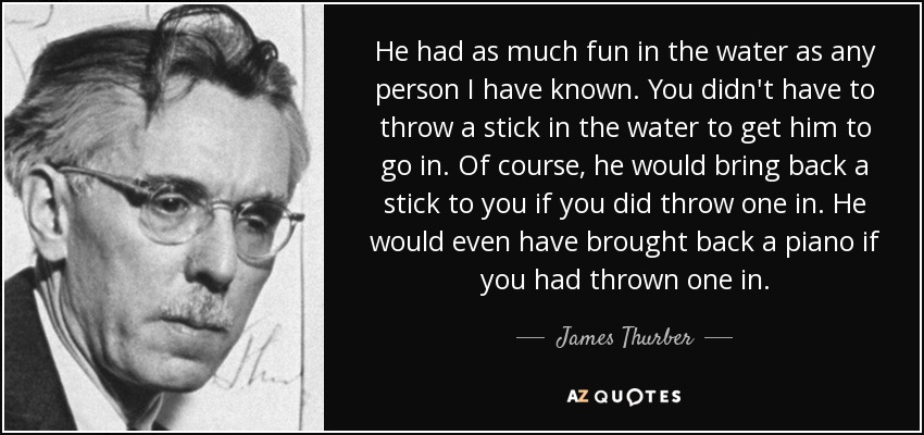He had as much fun in the water as any person I have known. You didn't have to throw a stick in the water to get him to go in. Of course, he would bring back a stick to you if you did throw one in. He would even have brought back a piano if you had thrown one in. - James Thurber