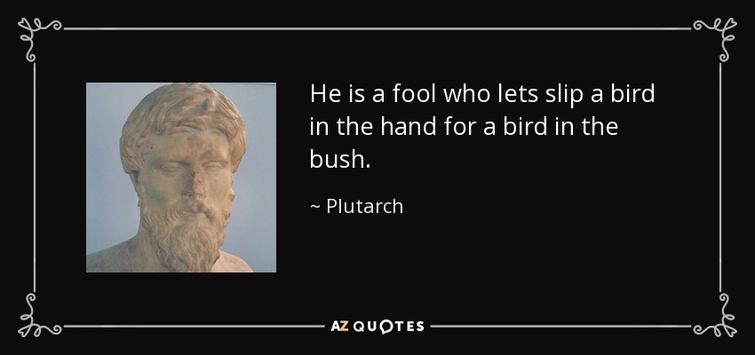 He is a fool who lets slip a bird in the hand for a bird in the bush. - Plutarch