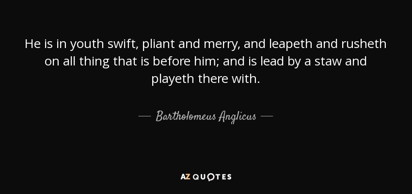 He is in youth swift, pliant and merry, and leapeth and rusheth on all thing that is before him; and is lead by a staw and playeth there with. - Bartholomeus Anglicus