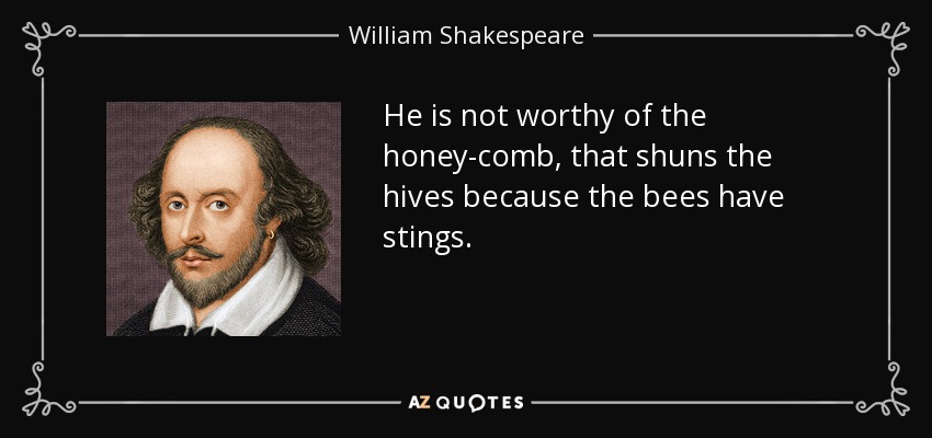 He is not worthy of the honey-comb, that shuns the hives because the bees have stings. - William Shakespeare