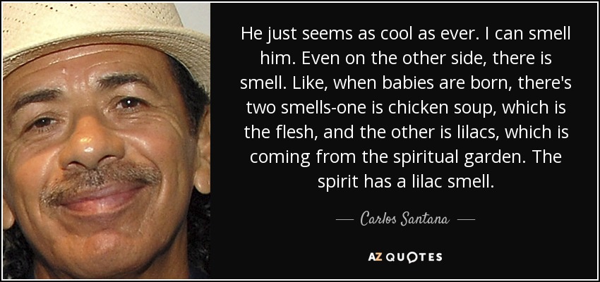 He just seems as cool as ever. I can smell him. Even on the other side, there is smell. Like, when babies are born, there's two smells-one is chicken soup, which is the flesh, and the other is lilacs, which is coming from the spiritual garden. The spirit has a lilac smell. - Carlos Santana