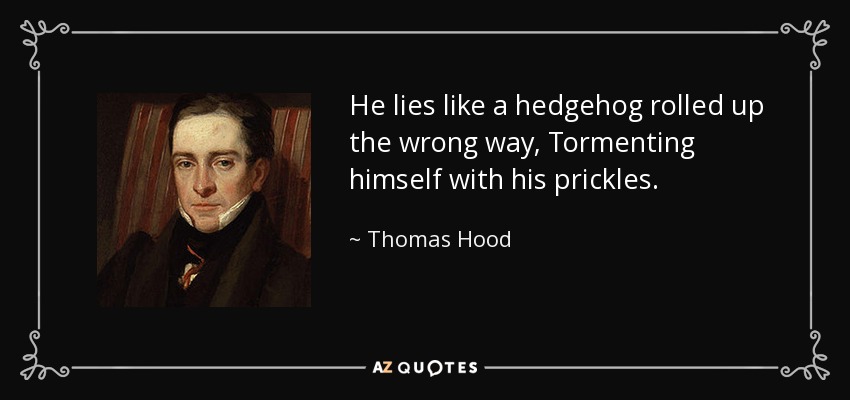 He lies like a hedgehog rolled up the wrong way, Tormenting himself with his prickles. - Thomas Hood