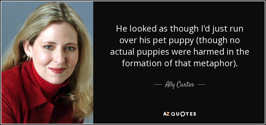 He looked as though I'd just run over his pet puppy (though no actual puppies were harmed in the formation of that metaphor). - Ally Carter