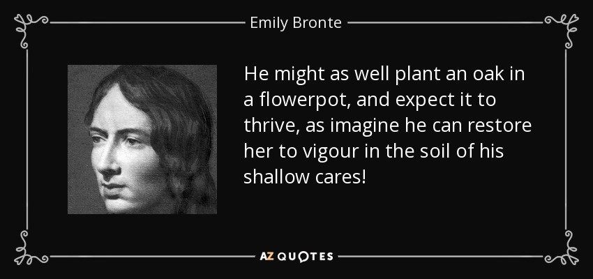 He might as well plant an oak in a flowerpot, and expect it to thrive, as imagine he can restore her to vigour in the soil of his shallow cares! - Emily Bronte