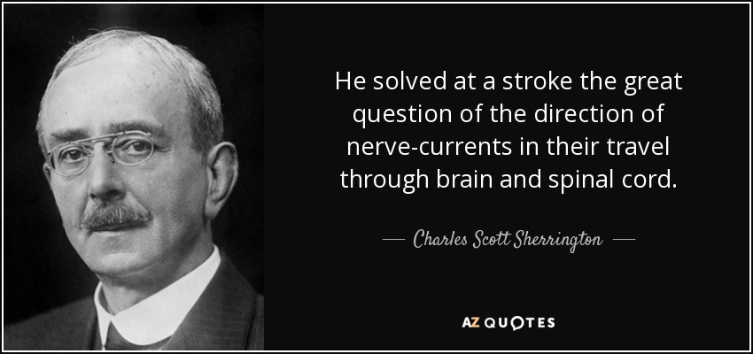 He solved at a stroke the great question of the direction of nerve-currents in their travel through brain and spinal cord. - Charles Scott Sherrington