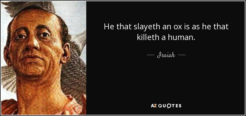 He that slayeth an ox is as he that killeth a human. - Isaiah