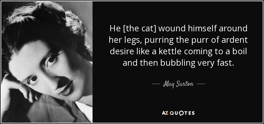 He [the cat] wound himself around her legs, purring the purr of ardent desire like a kettle coming to a boil and then bubbling very fast. - May Sarton