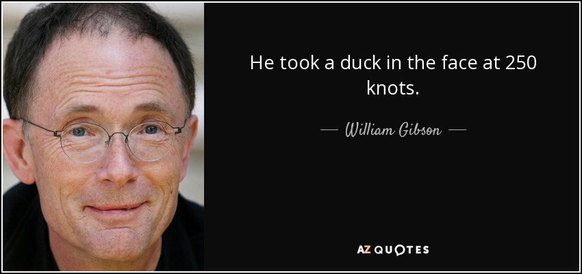He took a duck in the face at 250 knots. - William Gibson