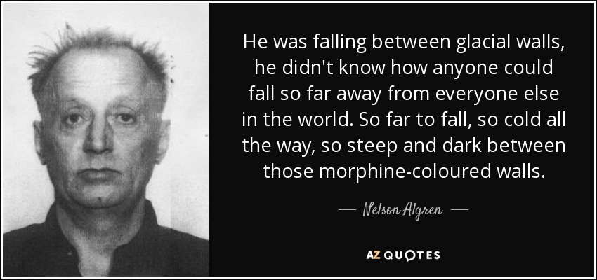 He was falling between glacial walls, he didn't know how anyone could fall so far away from everyone else in the world. So far to fall, so cold all the way, so steep and dark between those morphine-coloured walls. - Nelson Algren
