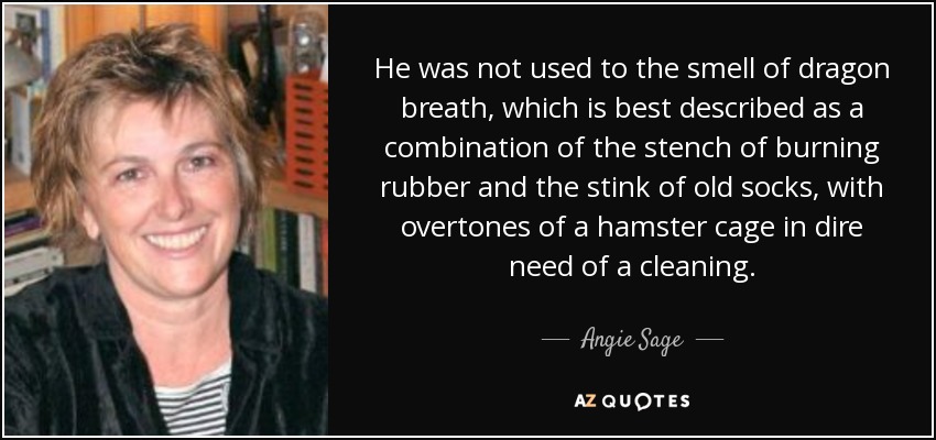He was not used to the smell of dragon breath, which is best described as a combination of the stench of burning rubber and the stink of old socks, with overtones of a hamster cage in dire need of a cleaning. - Angie Sage