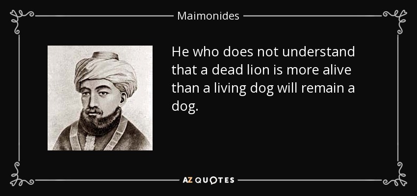 He who does not understand that a dead lion is more alive than a living dog will remain a dog. - Maimonides