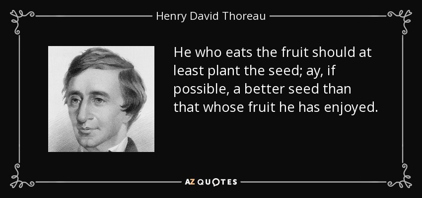 He who eats the fruit should at least plant the seed; ay, if possible, a better seed than that whose fruit he has enjoyed. - Henry David Thoreau