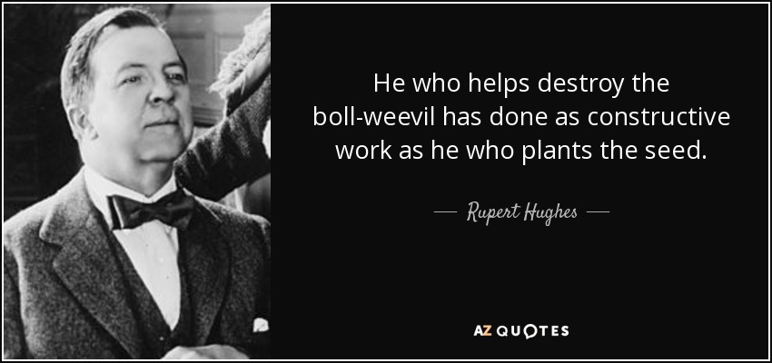 He who helps destroy the boll-weevil has done as constructive work as he who plants the seed. - Rupert Hughes