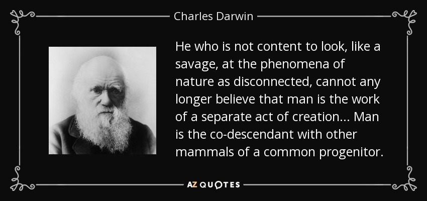 He who is not content to look, like a savage, at the phenomena of nature as disconnected, cannot any longer believe that man is the work of a separate act of creation ... Man is the co-descendant with other mammals of a common progenitor. - Charles Darwin