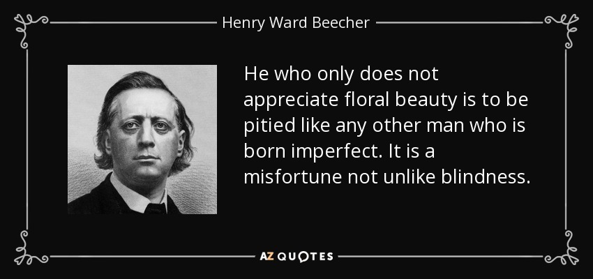 He who only does not appreciate floral beauty is to be pitied like any other man who is born imperfect. It is a misfortune not unlike blindness. - Henry Ward Beecher
