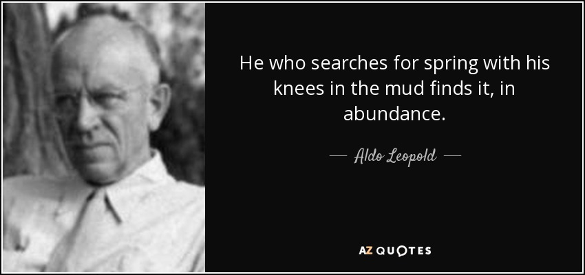 He who searches for spring with his knees in the mud finds it, in abundance. - Aldo Leopold
