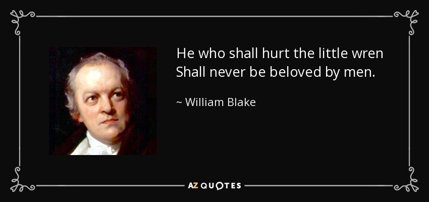 He who shall hurt the little wren Shall never be beloved by men. - William Blake