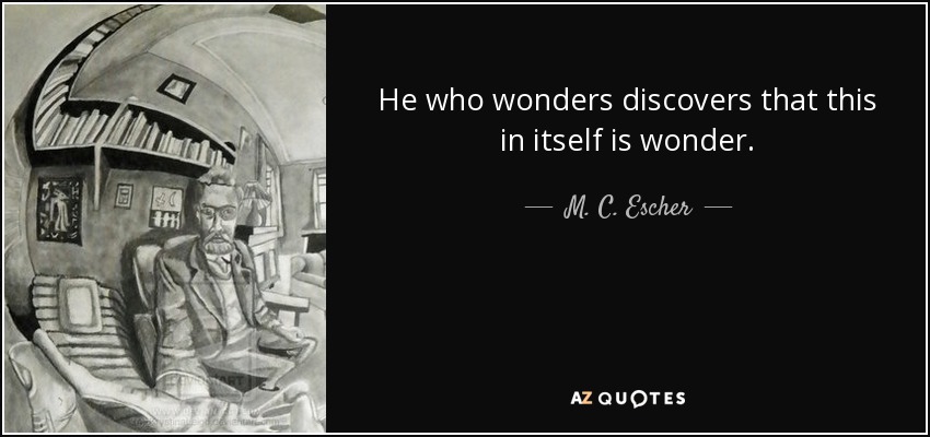 He who wonders discovers that this in itself is wonder. - M. C. Escher
