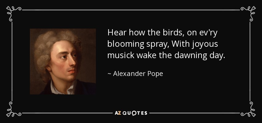 Hear how the birds, on ev'ry blooming spray, With joyous musick wake the dawning day. - Alexander Pope