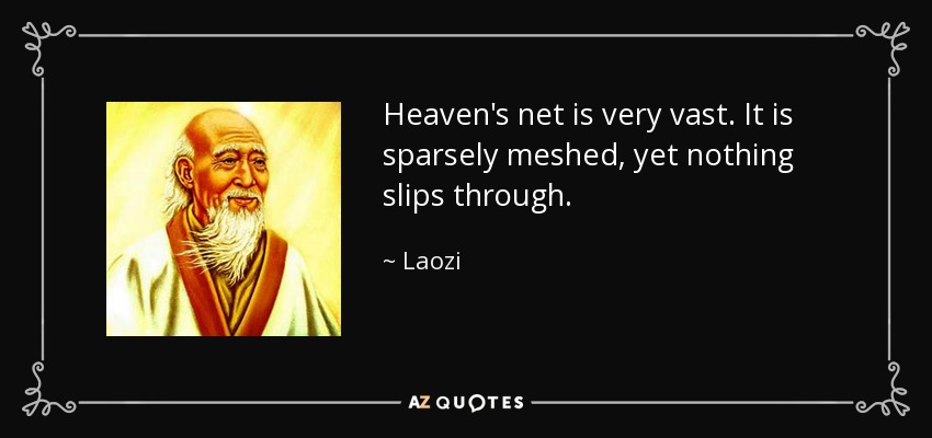 Heaven's net is very vast. It is sparsely meshed, yet nothing slips through. - Laozi