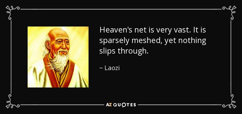 Heaven's net is very vast. It is sparsely meshed, yet nothing slips through. - Laozi