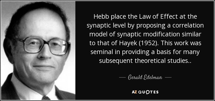 Hebb place the Law of Effect at the synaptic level by proposing a correlation model of synaptic modification similar to that of Hayek (1952). This work was seminal in providing a basis for many subsequent theoretical studies . . - Gerald Edelman